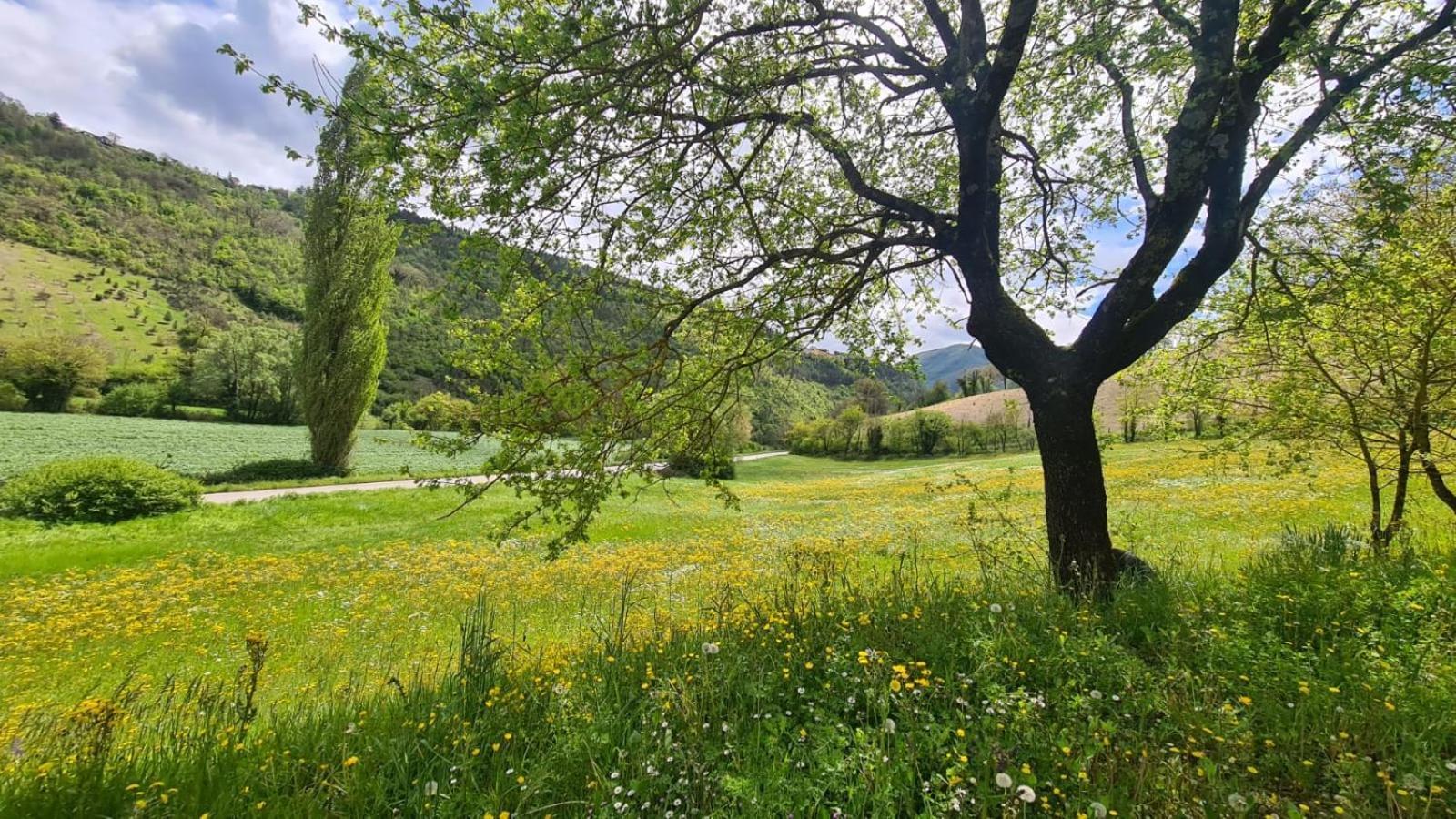 Casa Zia Cianetta Residenza Di Campagna Guest House Capodacqua  ภายนอก รูปภาพ
