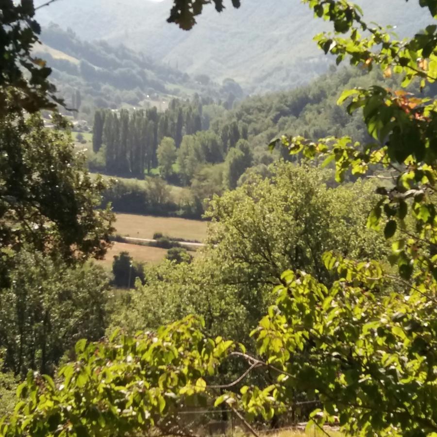 Casa Zia Cianetta Residenza Di Campagna Guest House Capodacqua  ภายนอก รูปภาพ