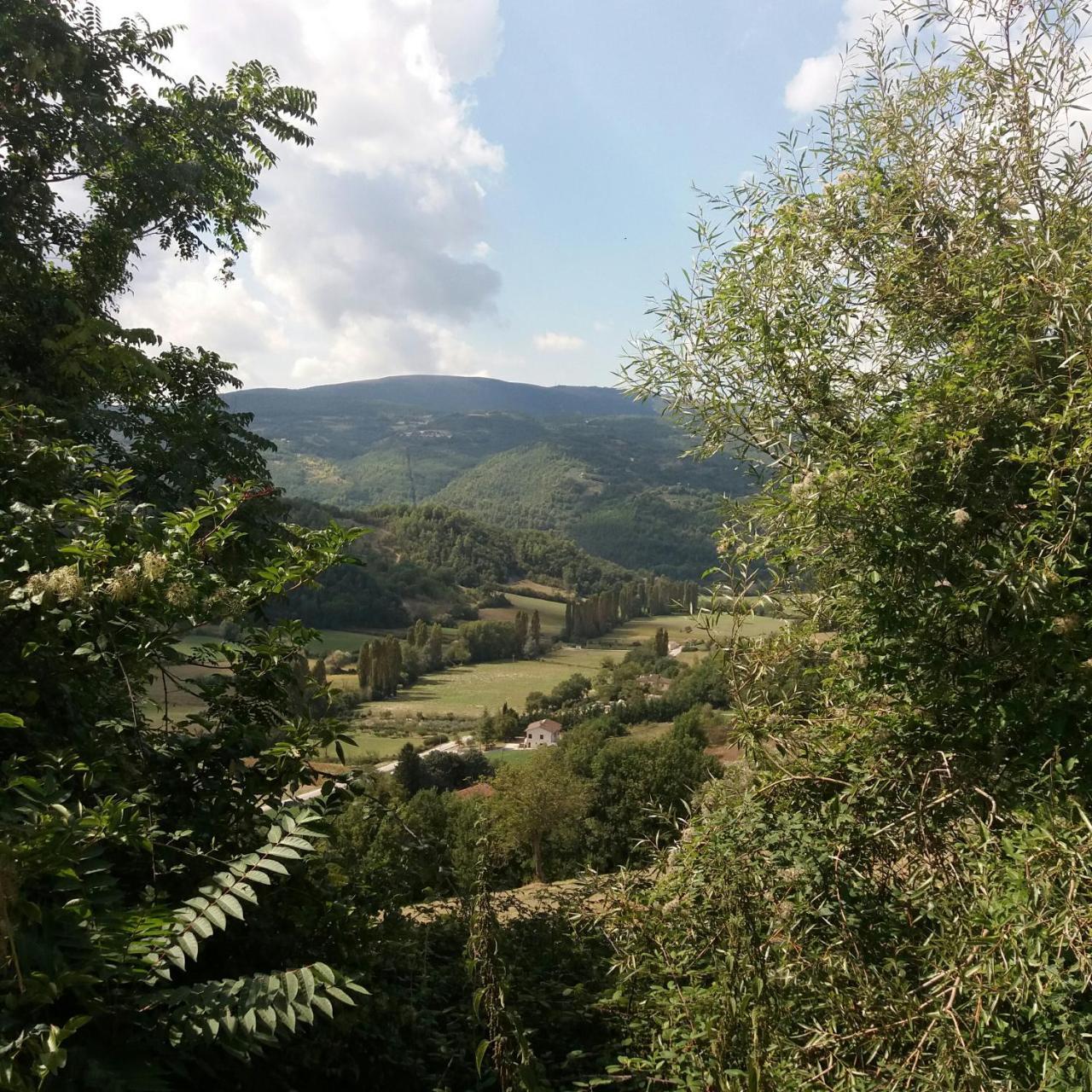 Casa Zia Cianetta Residenza Di Campagna Guest House Capodacqua  ภายนอก รูปภาพ